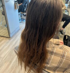hairstyle with long layers sioux falls
